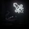 Squid Light Up 🦑 Tím Như Mực